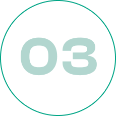 03